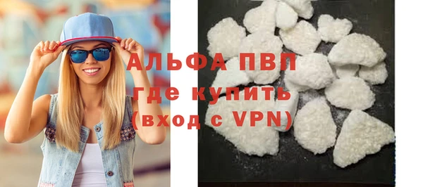 амф Снежногорск
