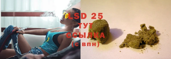 сатива Слюдянка