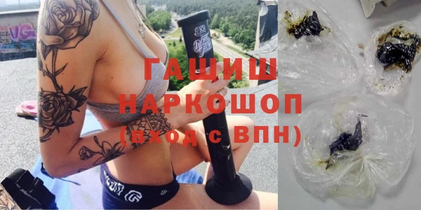 амф Снежногорск
