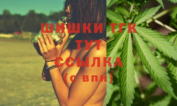 амф Снежногорск