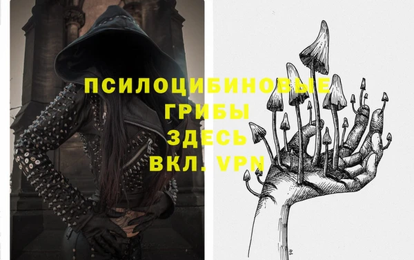 сатива Слюдянка