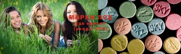 сатива Слюдянка