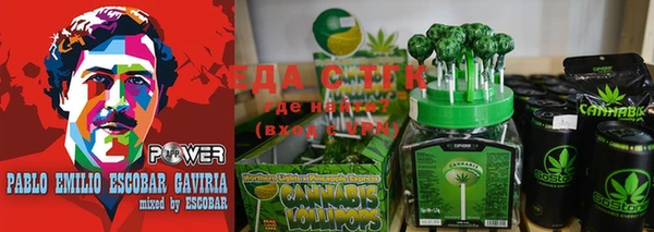 амф Снежногорск