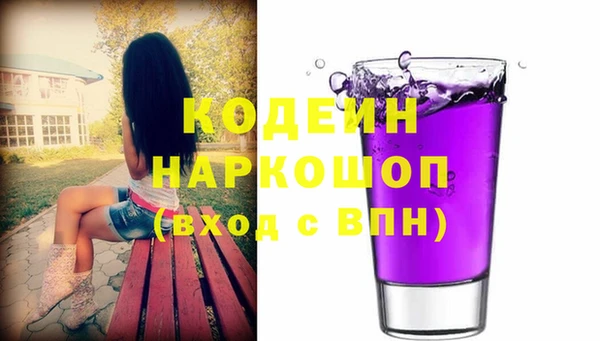 амф Снежногорск